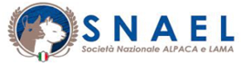 Snael